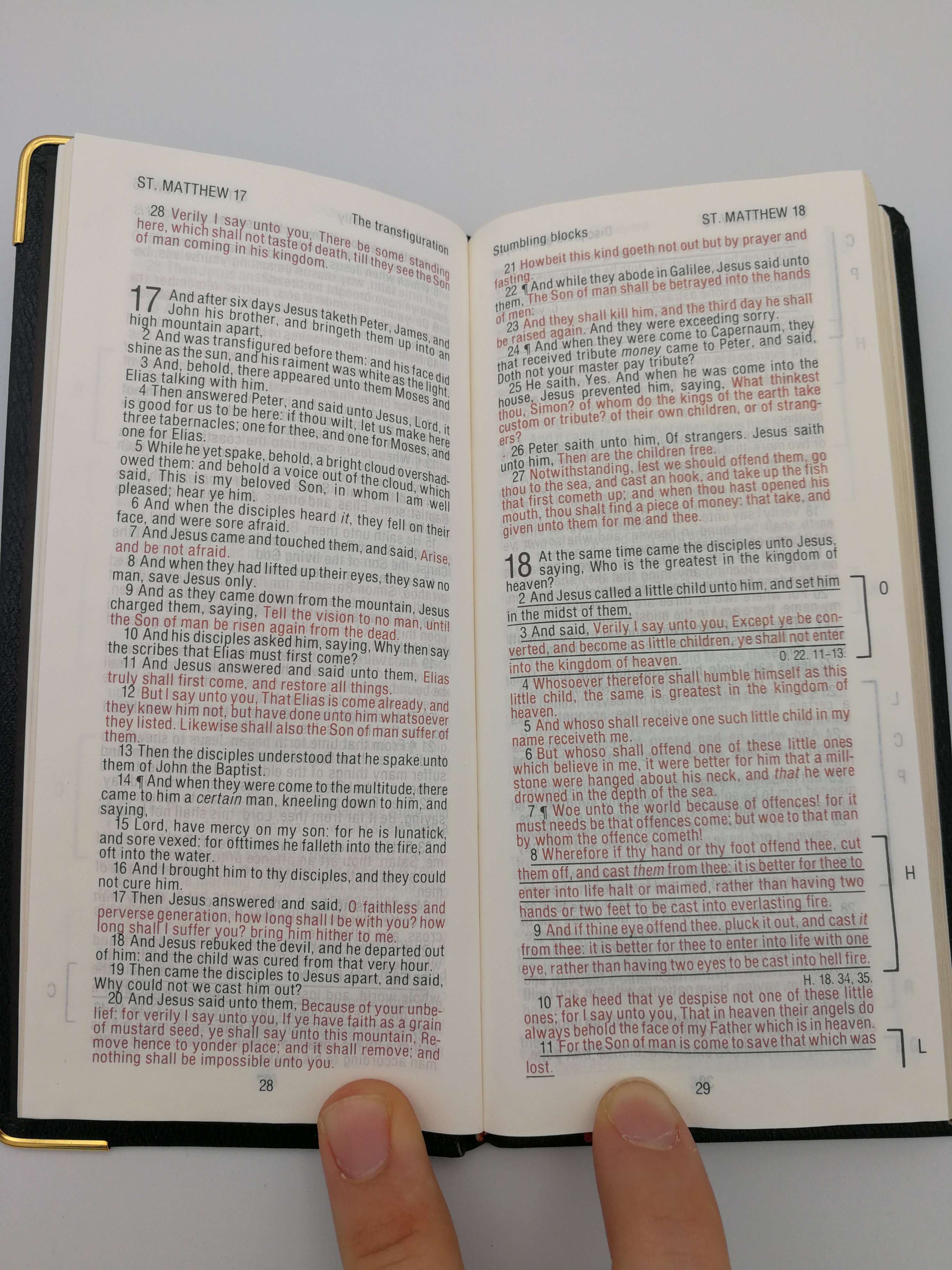 The New Testament Psalms and Proverbs 1